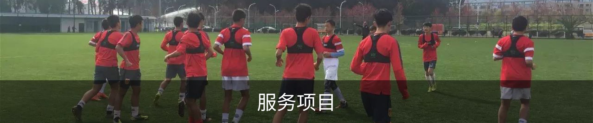 服务项目