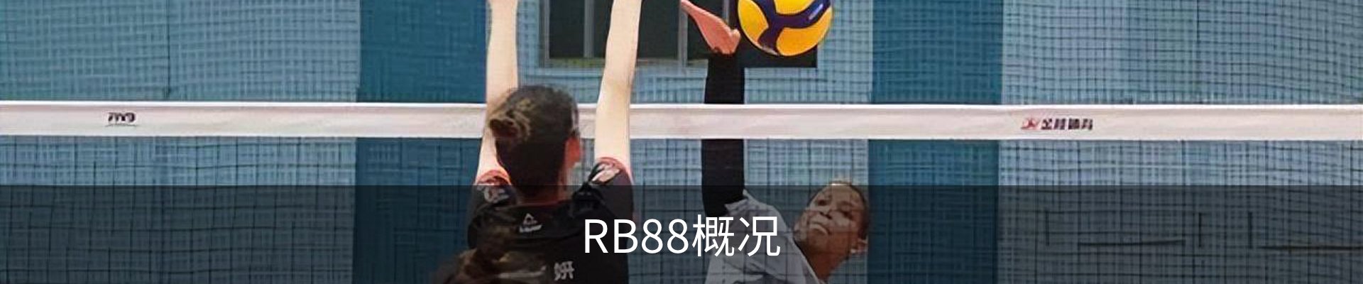 RB88概况